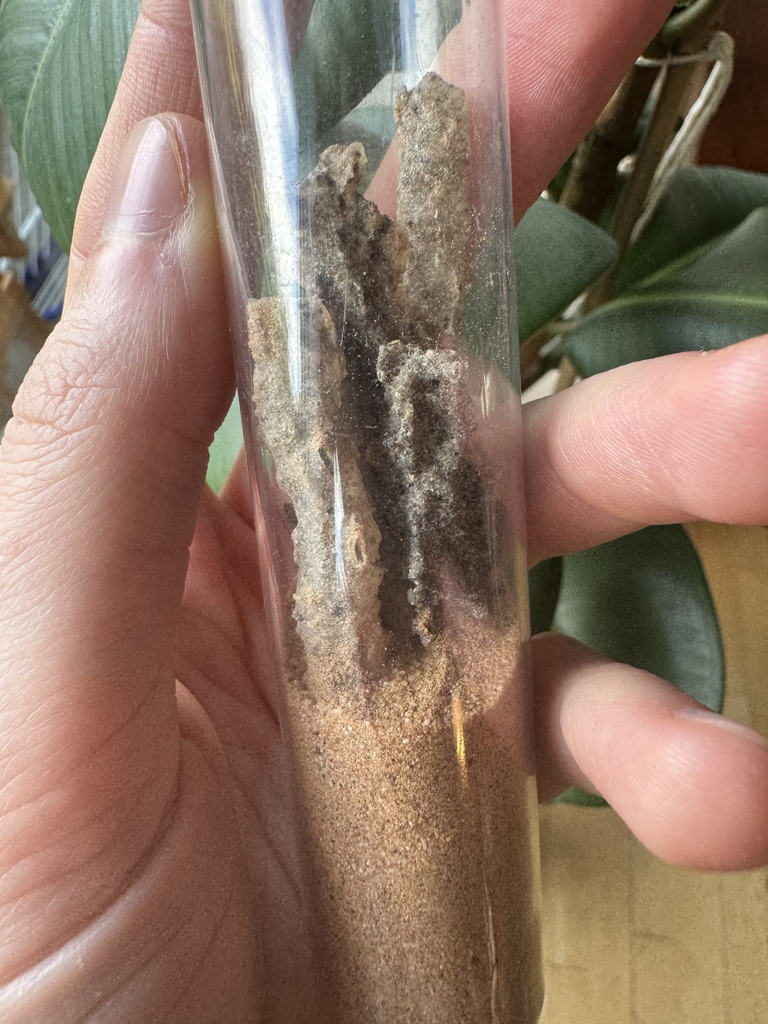 Another view of my fulgurite specimen.